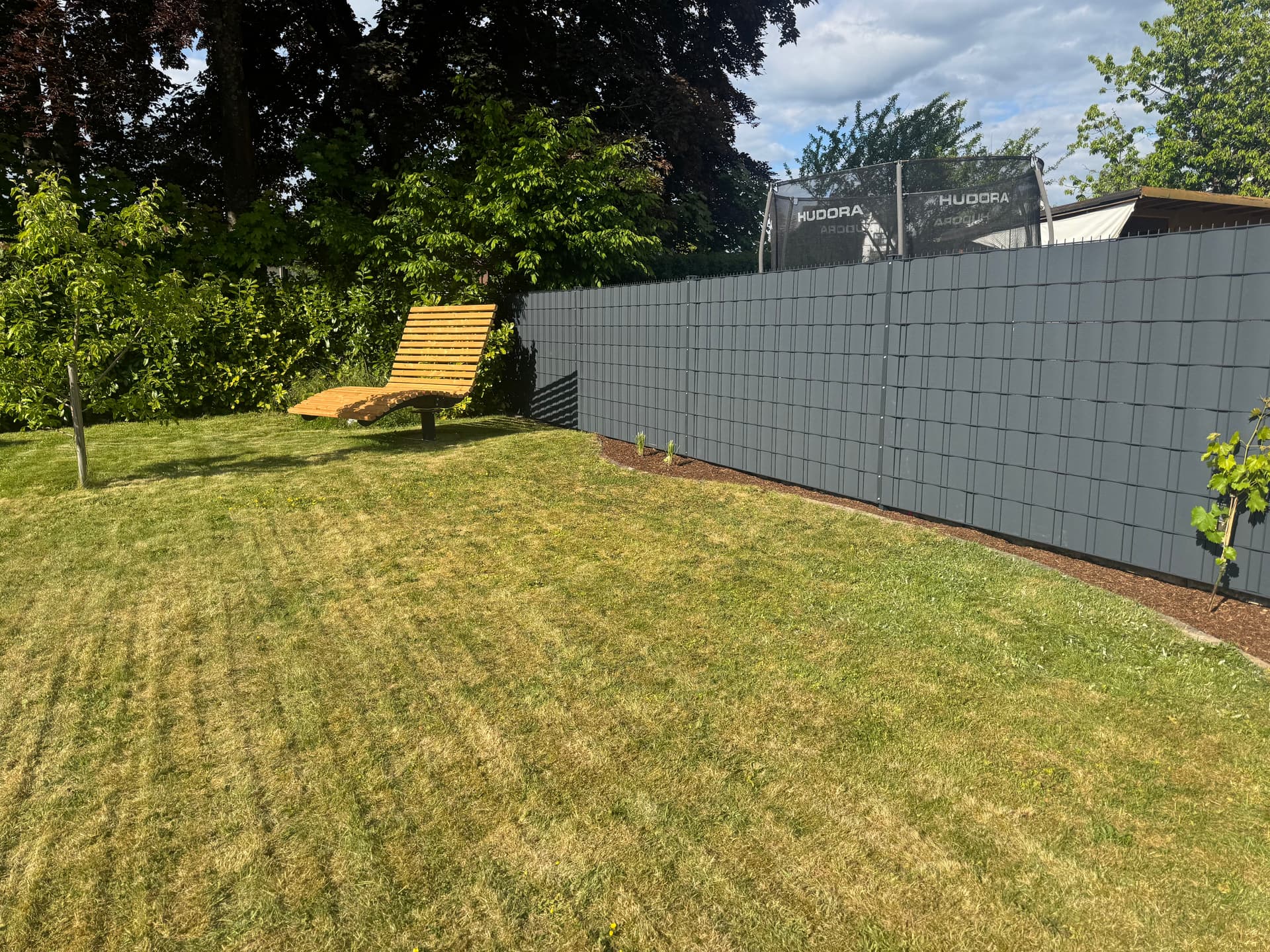 Baumschnitt und Baumfällung